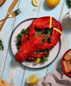 2 lb Live Maine Lobster
